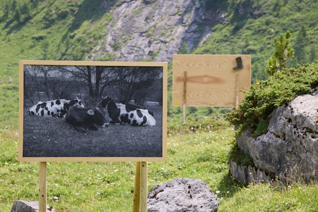 Historische Pfade und eine unglaublich schöne Gegend – bis am 12. Oktober auch mit Kunstwerken.