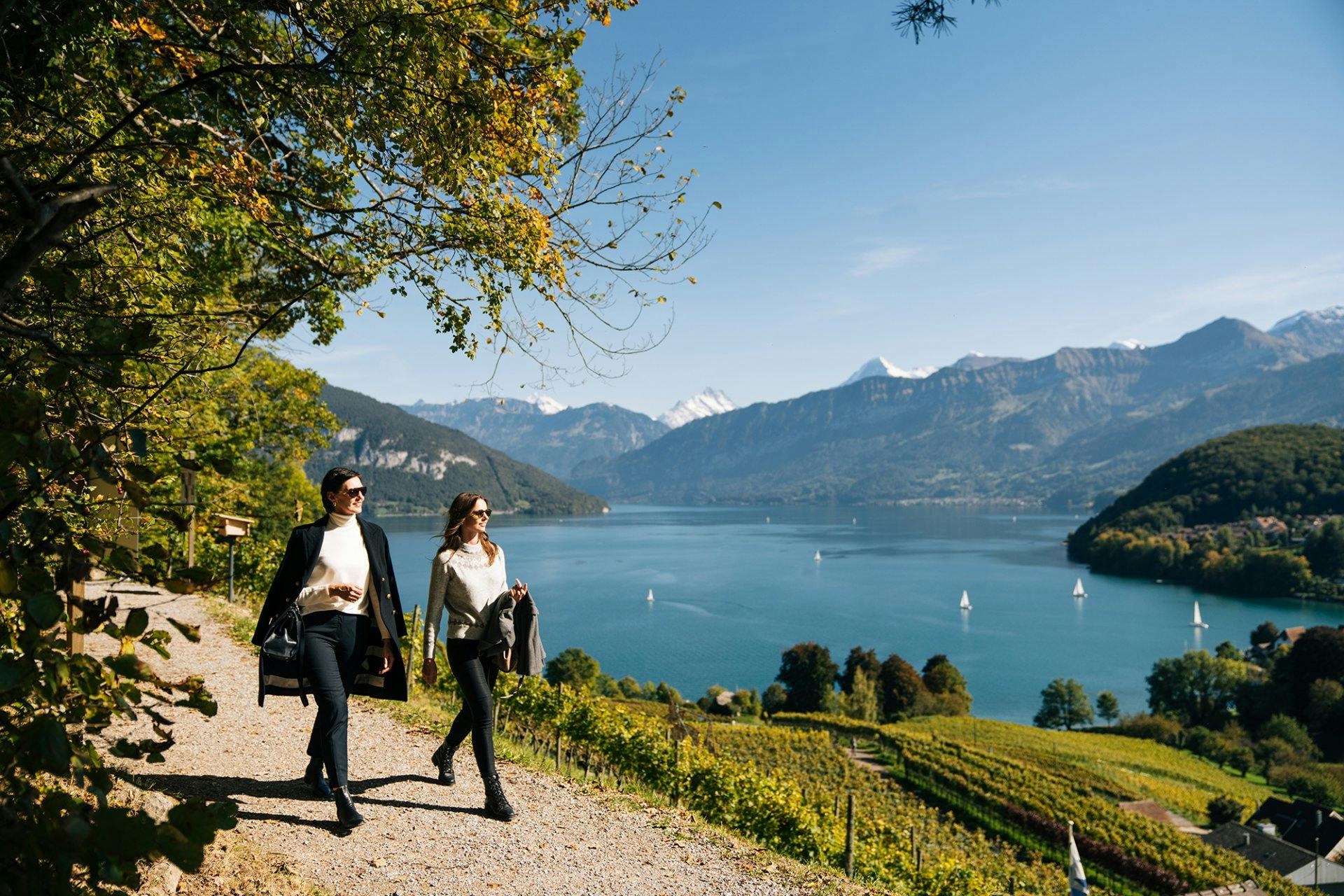 Ein genussvoller Spaziergang am Spiezer Rebberg ist gut für Herz...