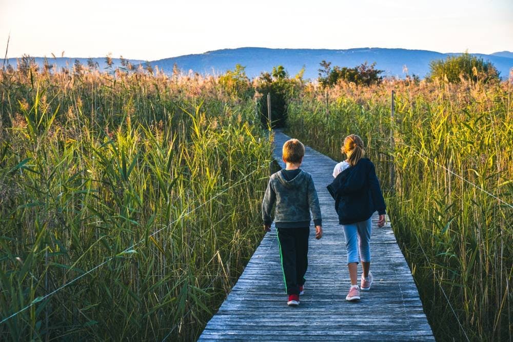 Si tu préfères la nature, tu dois impérativement visiter la Grande Cariçaie. Le plus grand marais lacustre de Suisse est accessible à pied depuis le c...