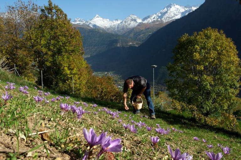 Depuis Brigue, après 30 minutes de bus, tu arriveras dans le charmant village de montagne de Mund. Ce petit village est le seul de Suisse connu pour s...