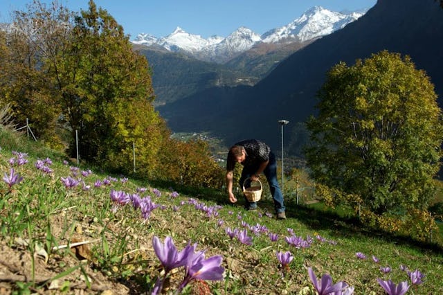 Depuis Brigue, après 30 minutes de bus, vous arriverez dans le charmant village de montagne de Mund. Ce petit village est le seul de Suisse connu pour...