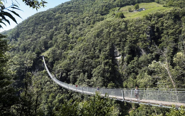 Long de 270 mètres, il surplombe le torrent Sementina à 130 mètres et s’infléchit de 14 mètres: le pont tibétain «Carasc» situé entre les communes de Sementina et de Monte Carasso. Son attrait tient à une sublime vue sur la plaine de Magadino et à une montée d’adrénaline pour les courageux. Il conduit tranquillement au petit village de Curzútt, qui enchante par son architecture soigneusement restaurée.

La randonnée conduit ensuite à travers des vignobles verdoyants, des forêts de châtaigniers aux tonalités automnales, et offre une vue sur le bleu vif du lac Majeur.