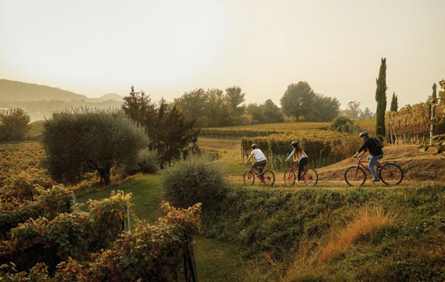 Découvre le Mendrisiotto automnal, aussi appelé la «Toscane suisse», lors du circuit «Bike’n’Wine» et apprends tout ce qu’il faut savoir sur la culture et la production du vin.

Familiarises-toi avec l’arôme et la saveur d’un bon vin tessinois lors d’une dégustation au cœur des vignes dorées, à l’ombre d’une pergola et avec une vue à couper le souffle sur la région. À la fin de l’escapade, une autre dégustation te fera encore plus tourner la tête, avec un apéritif copieux proposant divers produits régionaux savoureux. 