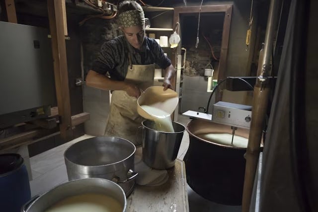 L’équipe transforme avec soin le lait de chèvre frais en spécialités fromagères à déguster sur place.