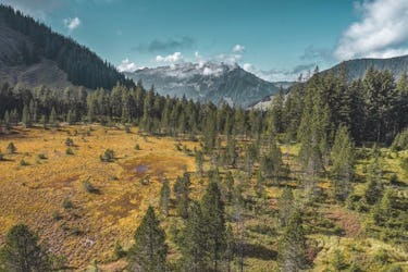UNESCO Biosphäre Entlebuch – wo Moore Geschichten erzählen