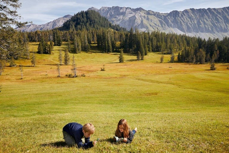 Auf der Rossweid lädt das «Mooraculum» von Mai bis Oktober dazu ein, die Welt der Moore zu entdecken.