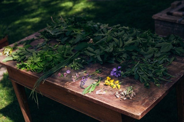 Das Wildkräuter-Festival lädt dazu ein, alte Koch- und Heiltraditionen neu zu entdecken und innovative Anwendungen heimischer Kräuter kennenzulernen.