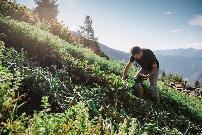L’alpage de San Romerio accueille les touristes d’un jour, les randonneurs et les cyclistes qui viennent profiter de l’hospitalité de Susanna et Gino,...