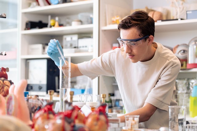 Toll, wenn man seine Interessen und Fähigkeiten entfalten kann.