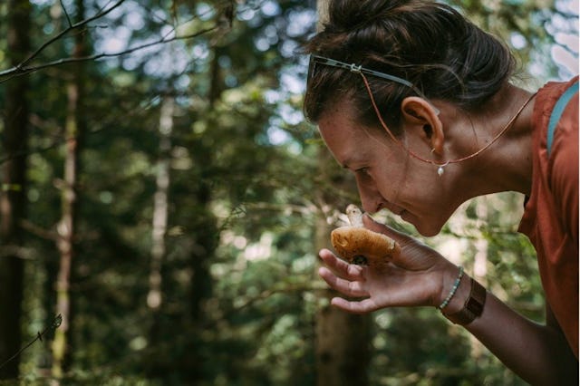 Ressentir, humer, goûter: une excursion dans la réserve de biosphère de l’UNESCO de l’Entlebuch est un voyage pour les sens.