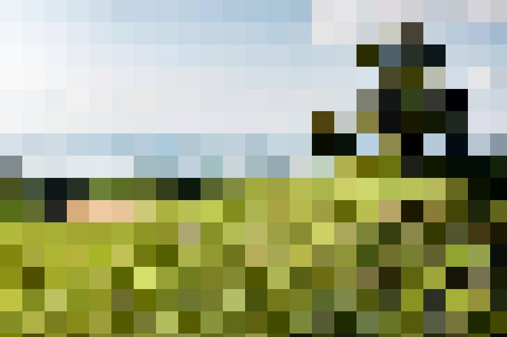Rund um Zug führen Wanderrouten zu schönen Aussichtspunkten und in die vielfältige Natur.