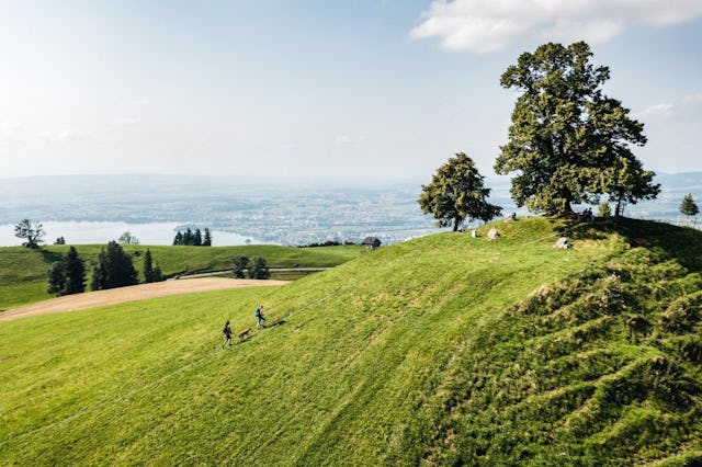 Rund um Zug führen Wanderrouten zu schönen Aussichtspunkten und in die vielfältige Natur.