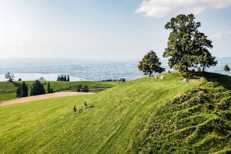 Rund um Zug führen Wanderrouten zu schönen Aussichtspunkten und in die vielfältige Natur.