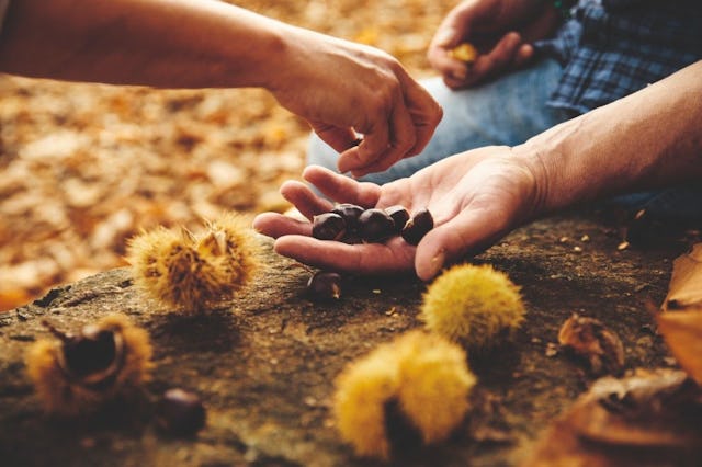 En octobre, le festival des marrons met en valeur ce fruit unique, sous toutes ses formes. Il est étroitement lié à la tradition du Mendrisiotto.