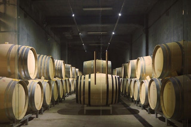 Fasskeller im Vini Matasci