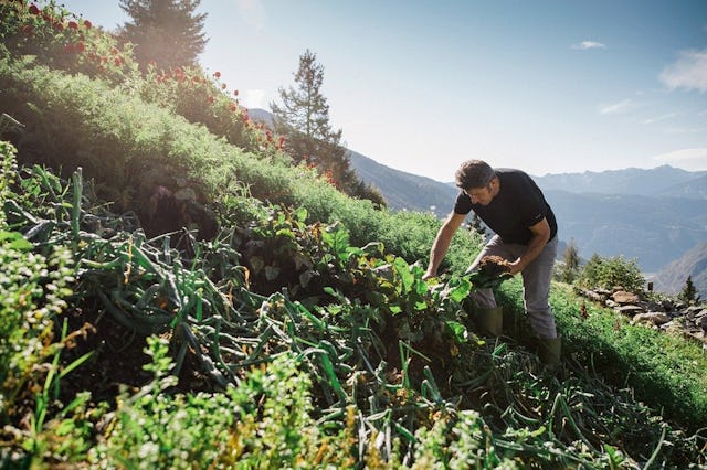 L’alpage de San Romerio accueille les touristes d’un jour, les randonneurs et les cyclistes qui viennent profiter de l’hospitalité de Susanna et Gino,...