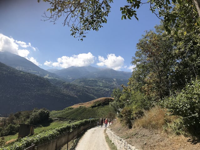 Der Kulturweg ist bis heute als Naturweg erhalten geblieben und ist ein äusserst beliebter Wanderweg.