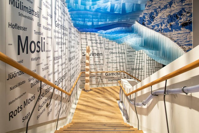 Das WNF bringt dir das UNESCO-Welterbe Jungfrau-Aletsch interaktiv näher.