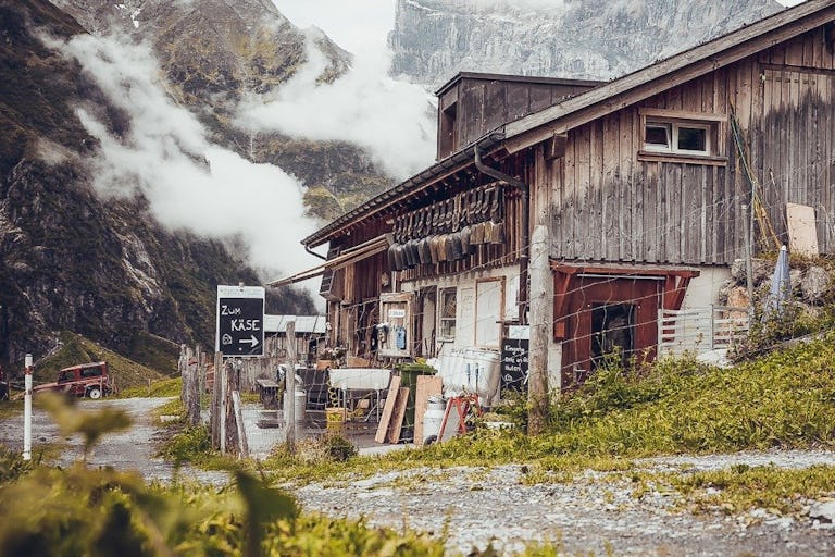 Auf der Alp Stäfeli werden aus den etwa 45’000 Litern Milch pro Sommer verschiedenste Bergkäse hergestellt.