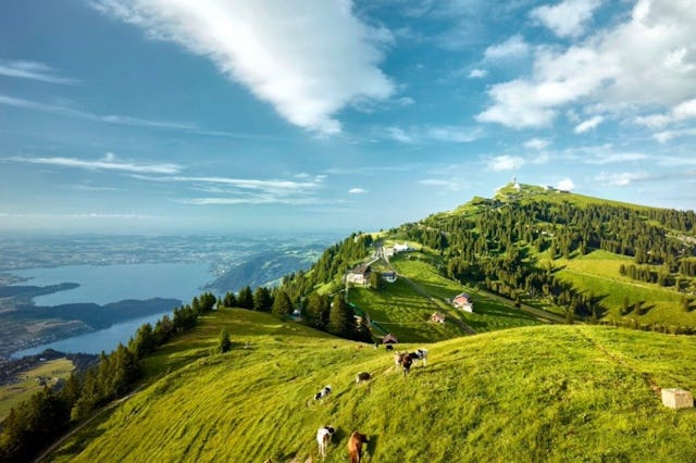 Le Rigi, reine des montagnes située au cœur de la Suisse, offre une vue panoramique sur 13 lacs et d’imposantes crêtes.