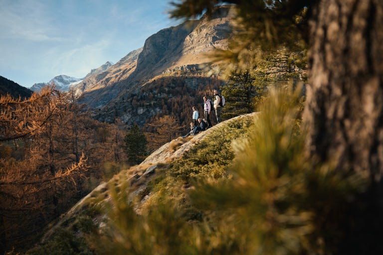 Der Furiweg ist ein leichter Wanderweg, der durch Lärchen- und Arvenwälder führt. Er ist besonders eindrücklich im Herbst, wenn sich die Wälder verfär...