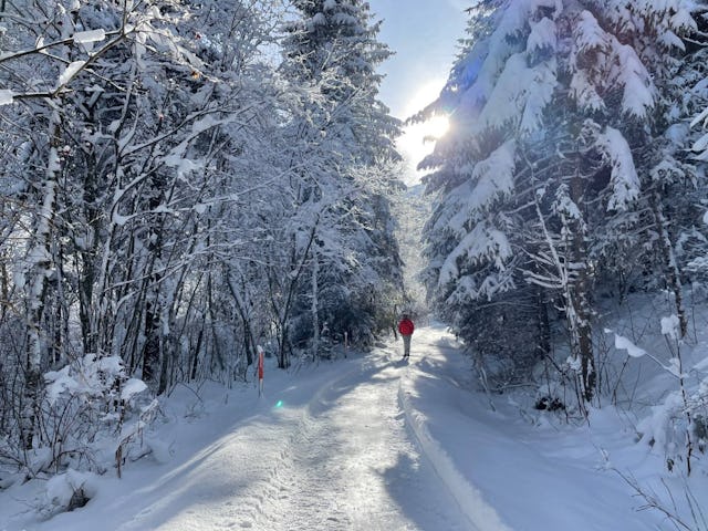 Auf der Schneeschuhtour durch verschneite Wälder bei Kandersteg entfliehst du mit jedem Schritt dem Alltag.