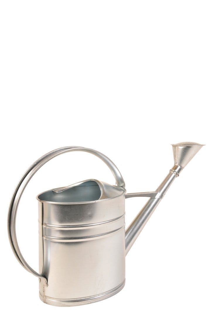 À boire! Arrosoir en métal, 10 litres, 29,95 francs.