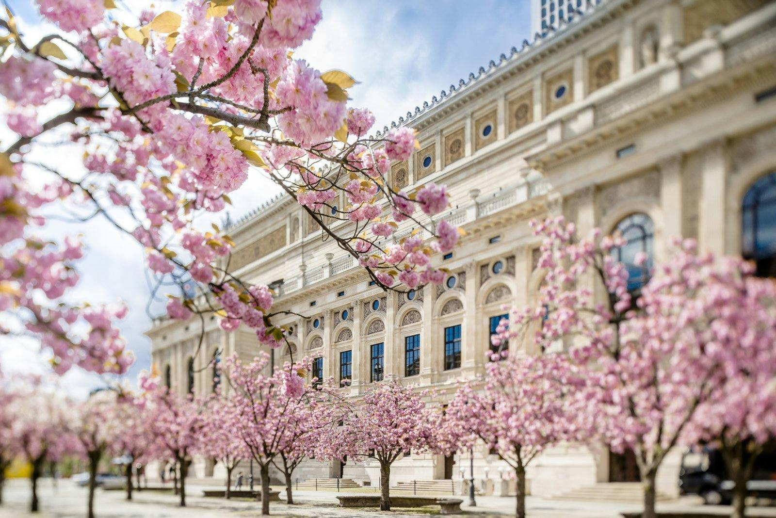 Deutschland lockt im Frühling mit blühenden, bunten Plätzen, wie hier in Frankfurt am Main.
