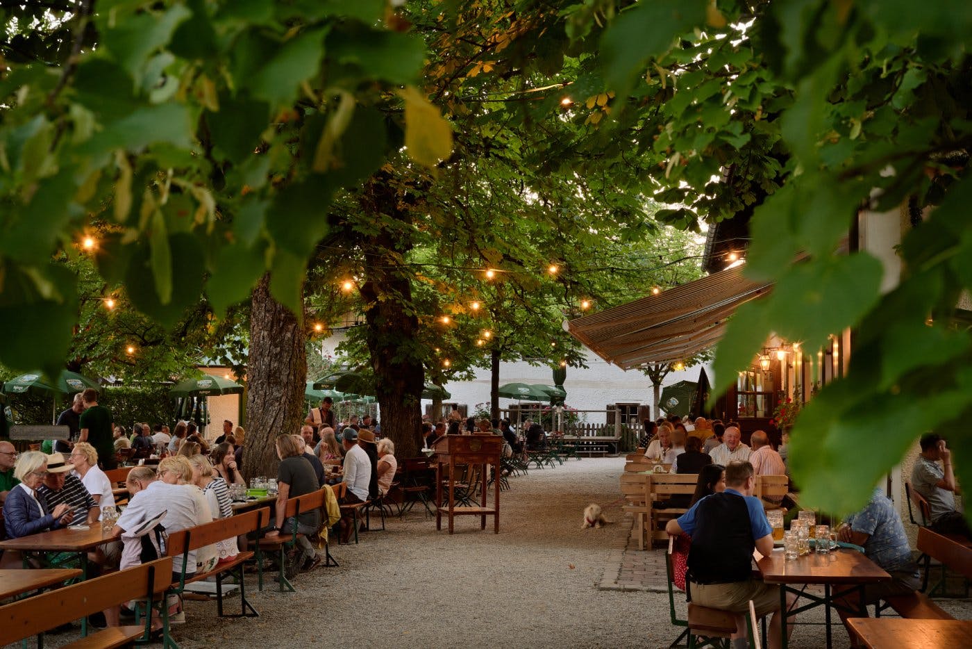 Verkosten Sie die frisch gezapften Ayinger Biere im schattigen Biergarten des Ayinger Bräustüberl zusammen mit einer herzhaften, bayerischen Brotzeit.