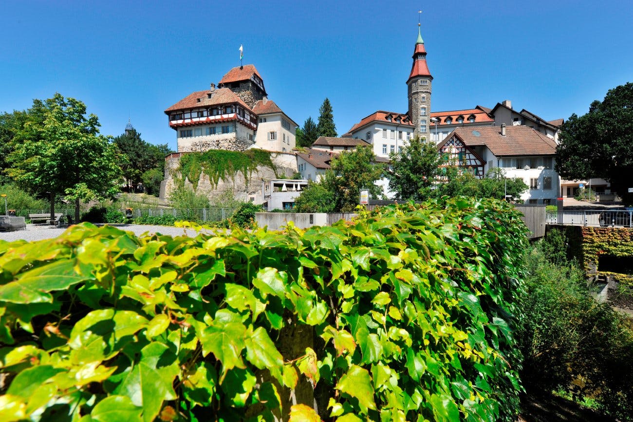 Das Schloss Frauenfeld mit spannenden Ausstellungen solltest du dir ebenfalls nicht entgehen lassen.