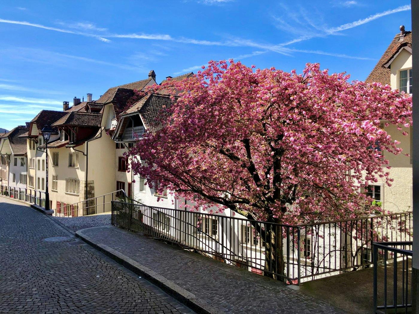 Von Brugg erreichst du mit der S29 nach nur 18 Minuten die Altstadt von Aarau. Diese lädt mit ihren unzähligen Gassen und Restaurants zum Flanieren un...