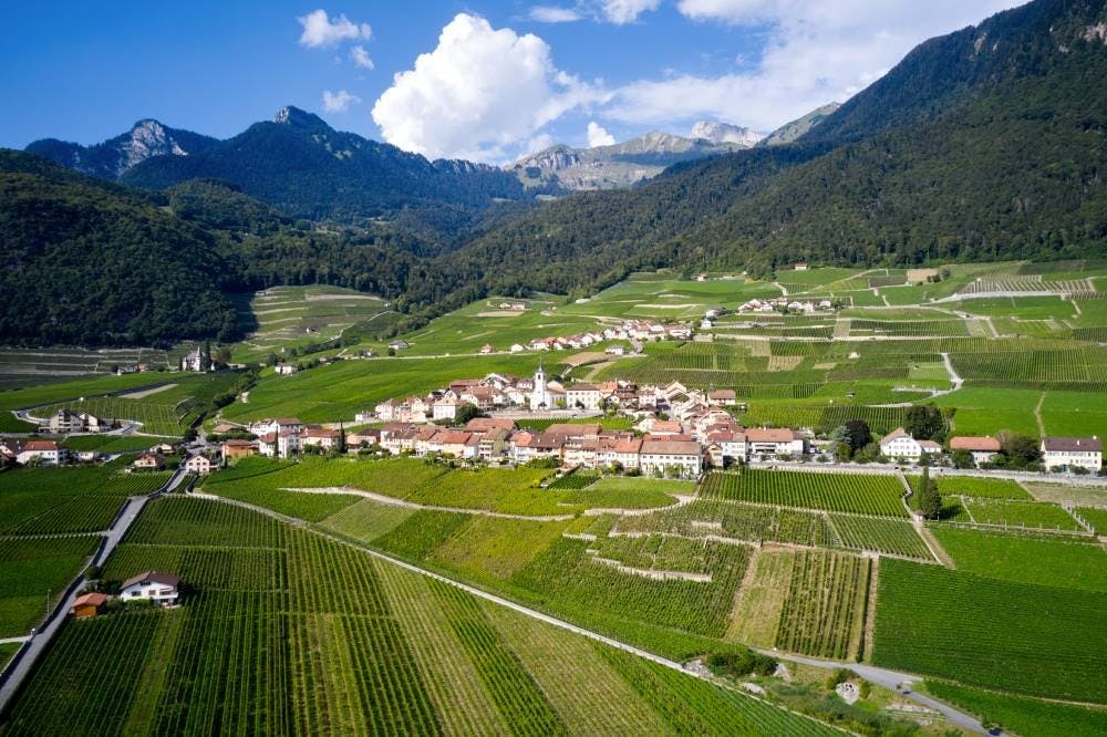 Au départ d’Aigle, cette randonnée de 7,3 km (2h05 de marche), de difficulté moyenne, traverse un paysage façonné par le chasselas, cépage dominant du...