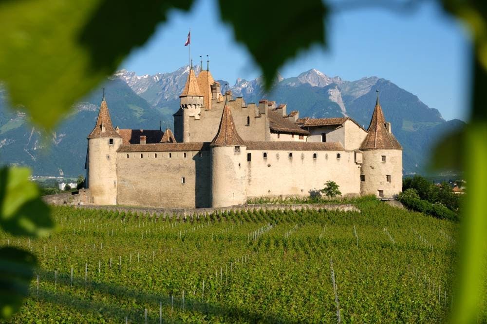 Le long de la balade du Sentier des Vignes se trouve le Château d'Aigle. Il se dresse depuis la fin du XIIe siècle au cœur d’un vignoble réputé où le...
