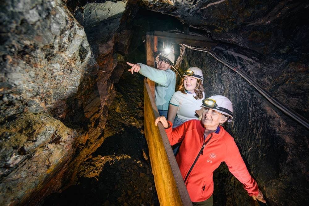 Les Mines de Sel de Bex forment un vaste labyrinthe souterrain de plus de 50 km. Découvertes au XVe siècle, elles produisent encore 35’000 tonnes de s...