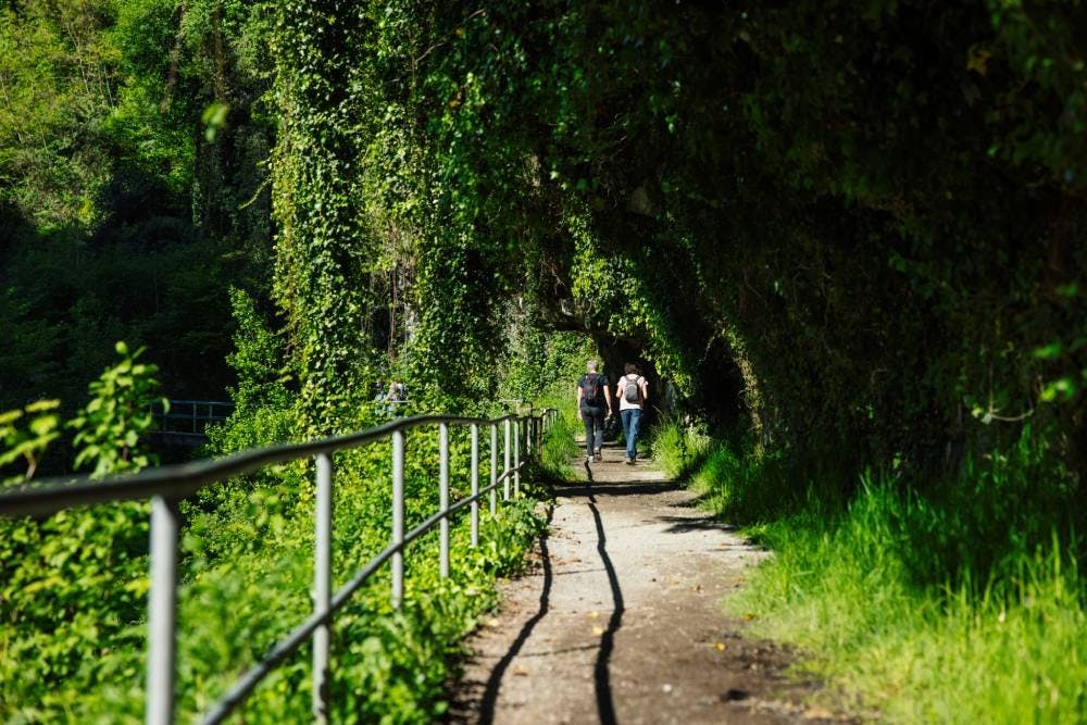 Au départ du Vieux-Pont (arrêt de bus «Monthey, Vieux-Pont»), en plein cœur de Monthey, le Sentier des Gorges de la Vièze, long de 6,2 km (1h45 de mar...