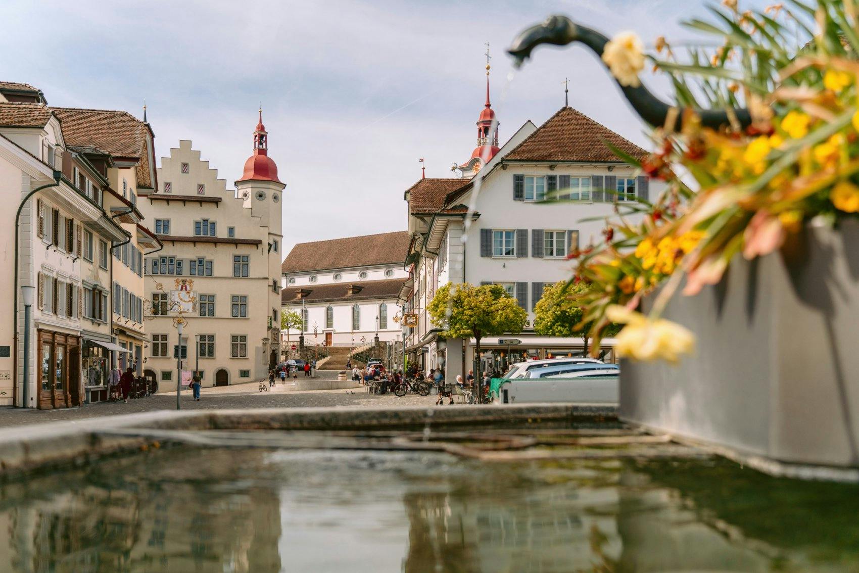 Pour finir, le train S29 t’emmène dans la petite ville pittoresque de Sursee. Ses places animées, son hôtel de ville de style gothique flamboyant et s...