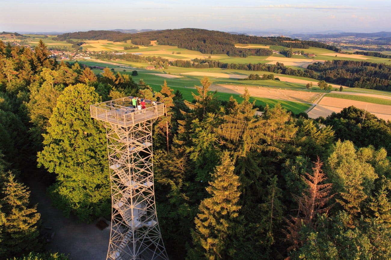 Tu préfères prendre de la hauteur? Au départ de Frauenfeld, une randonnée d’environ 1h15 te mènera à la tour de Stählibuck, qui offre une vue incroyab...