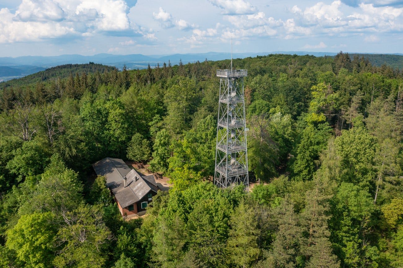 Alternativ bleibst du in Sissach im Zug sitzen und fährst noch acht Minuten weiter nach Liestal. Oberhalb der Kantonshauptstadt thront ein 30 Meter ho...
