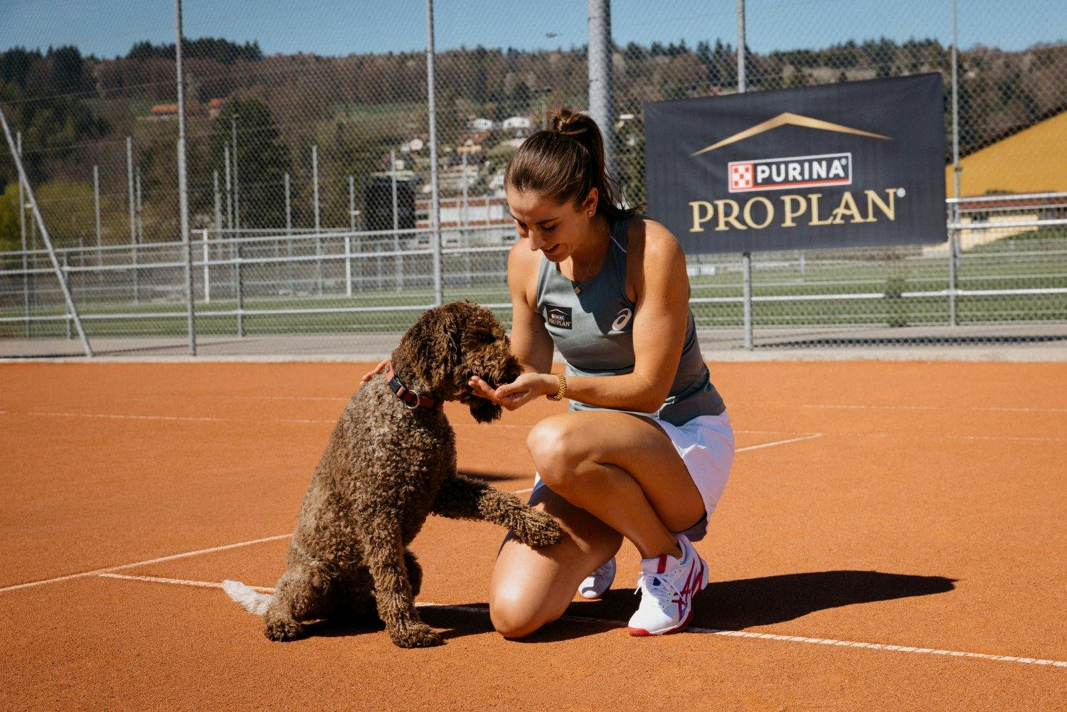 Belinda Bencic gibt Lagotto-Rüde Watson ein Leckerli.