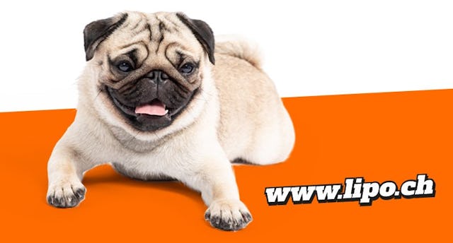 Ce bon peut également être cumulé avec les promotions en cours.