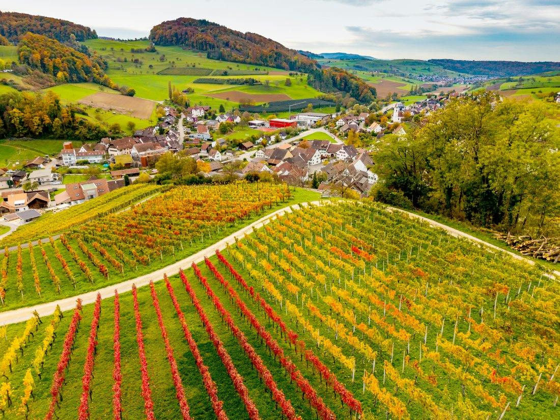 1. Highlight: Kultur- und Wanderfans dürfen sich freuen: Von Olten gehts mit der S3 in nur 10 Minuten nach Gelterkinden, wo nach einer kurzen Busfahrt...