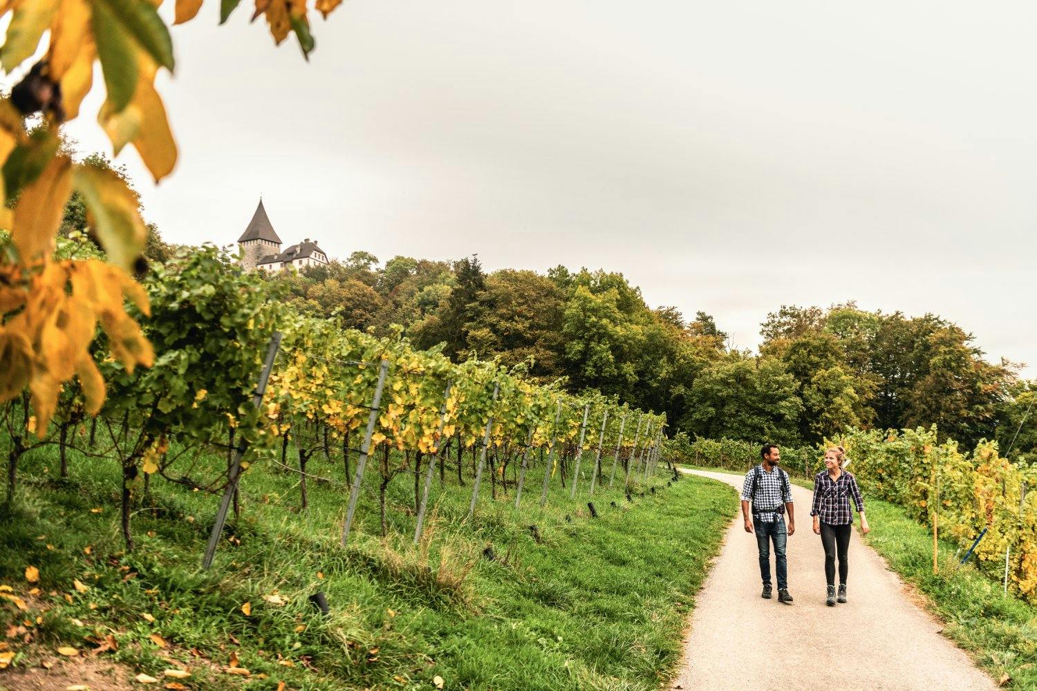 Incontournable no 2: envie d’une randonnée viticole? Alors poursuis ta route jusqu’à Weinfelden, à 12 minutes de Frauenfeld. Depuis la gare, un chemin...