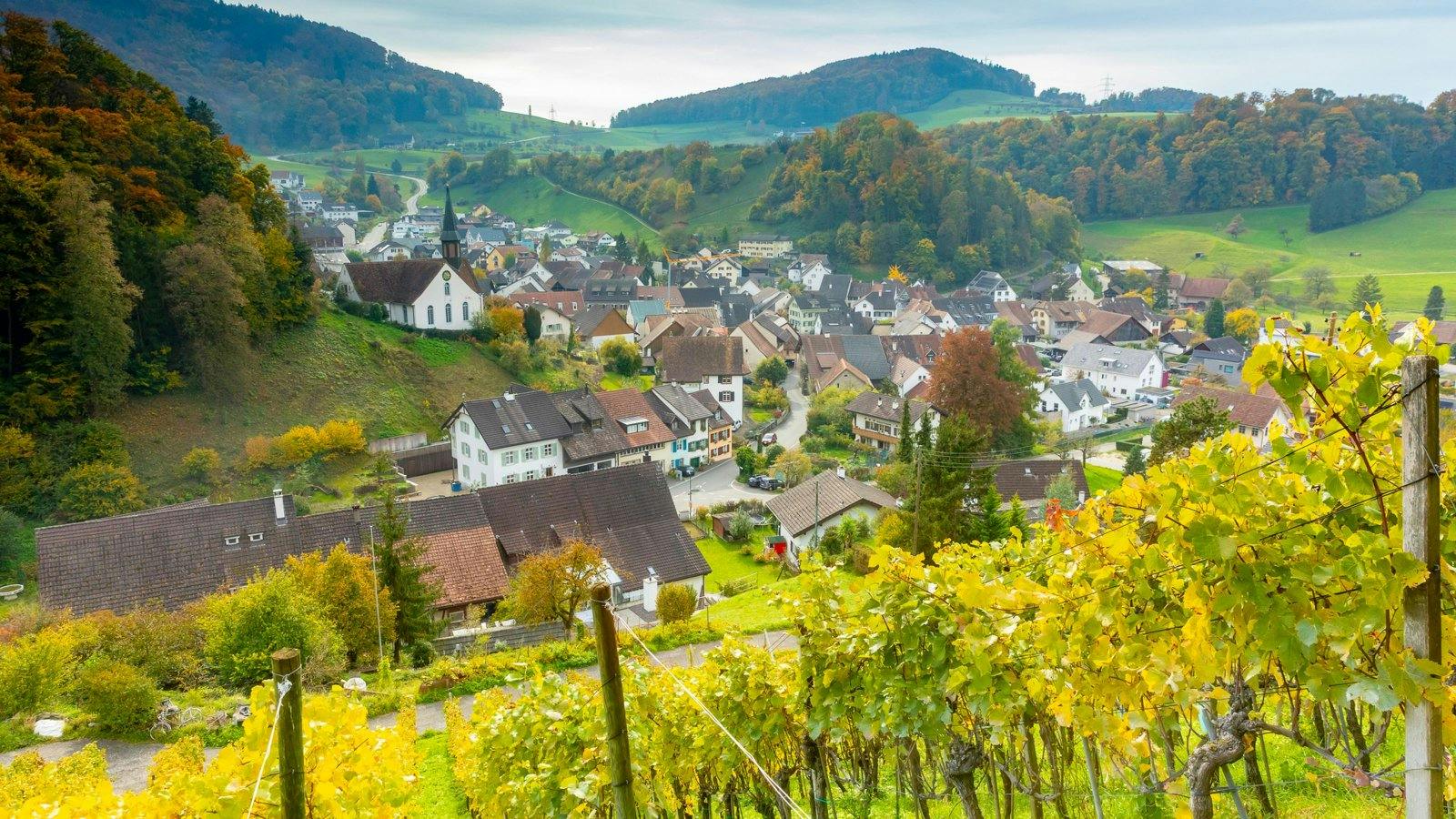 Wanderfans dürfen sich auf das erste Highlight freuen: Von Olten gehts mit der S3 in nur 10 Minuten nach Gelterkinden, wo nach einer kurzen Busfahrt d...
