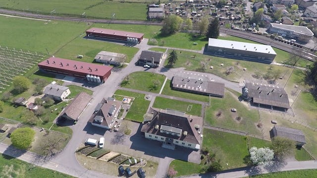 Das Aviforum verfügt über fünf moderne Ställe, die alle dem BTS-Standard entsprechen. Das Aviforum verfügt über fünf moderne Ställe, die alle dem BTS-Standard entsprechen.