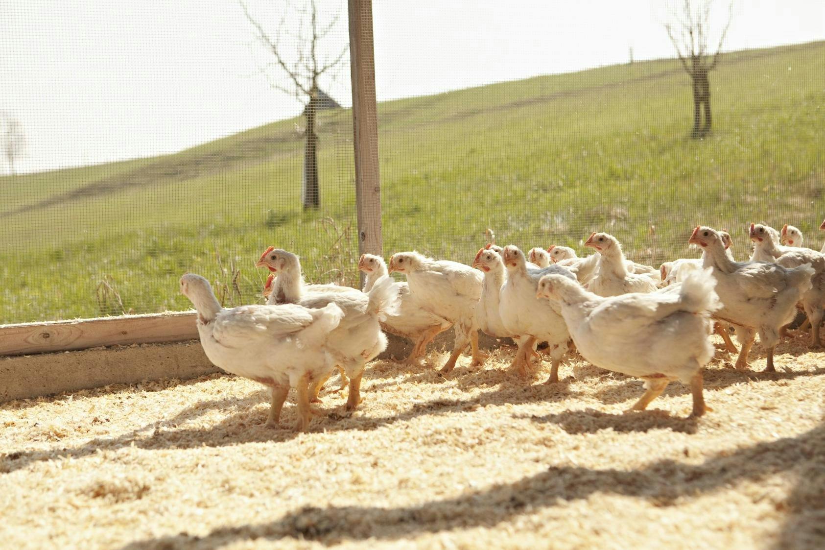 Outre ses propres projets de recherche, Aviforum mène également des études pour le compte de différents Offices fédéraux.