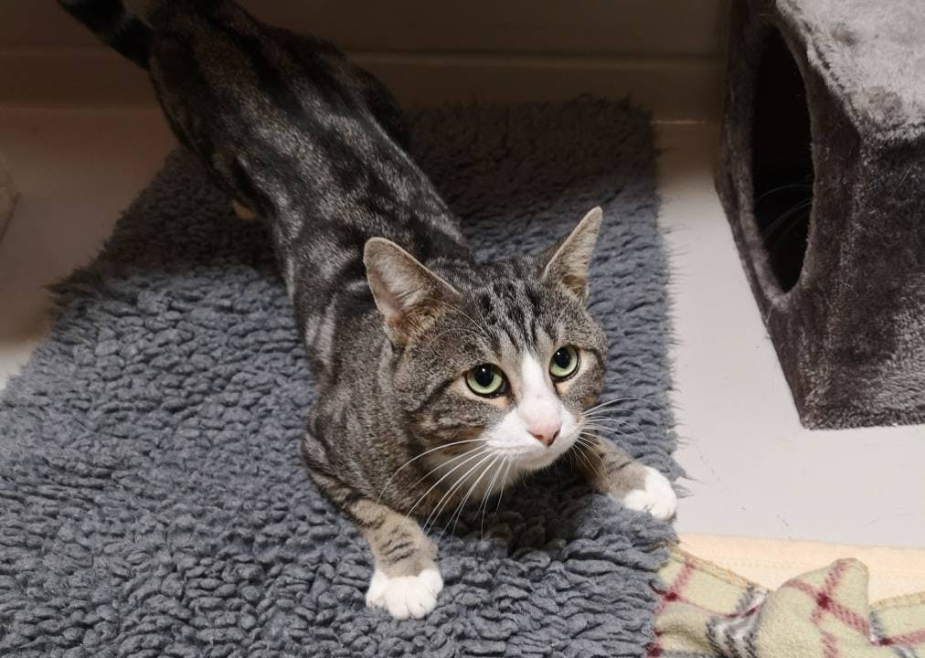 Anfangs war er noch etwas schüchtern.