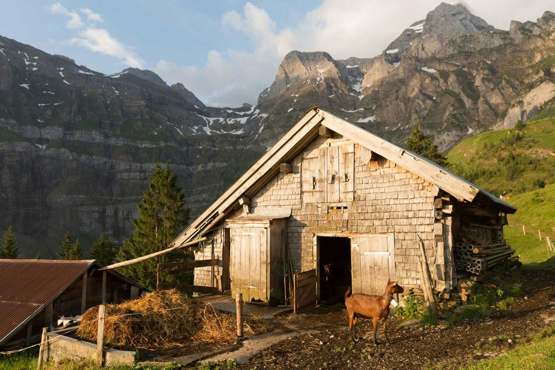 ... ist bei einem Bergeinsatz der Caritas an der falschen Stelle.