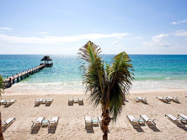 Verwöhn-Momente unter Palmen – mit Rabatten bis zu 60 Prozent bei Secret Escapes .