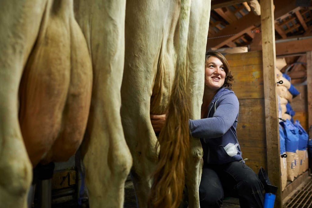 Mais ça en vaut la peine: les paysans de montagne reçoivent une aide bienvenue et les bénévoles font de nouvelles expériences.