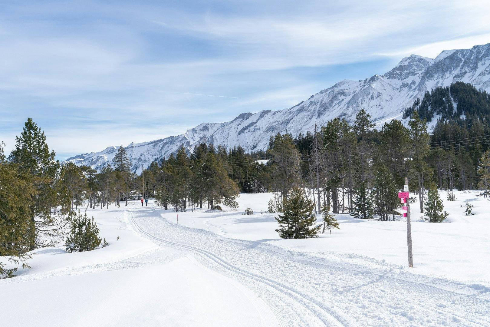 Immer im Blick: der Brienzer Grat.